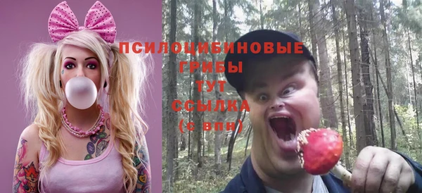 шишки Абинск