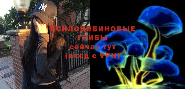 гидра Абдулино