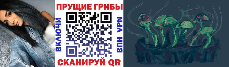 Галлюциногенные грибы Psilocybe  Зарайск 